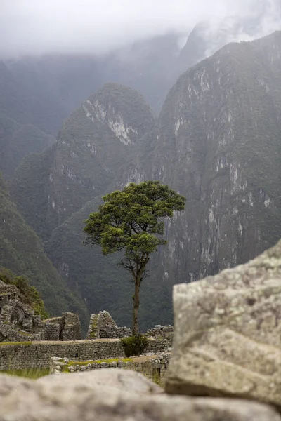 Δείτε Στο Μάτσου Πίτσου Inca Ερείπια Στο Περού — Φωτογραφία Αρχείου