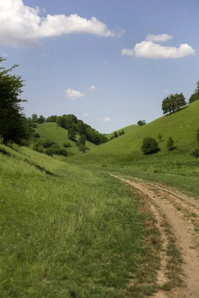 Fürjes Hills Szerbiában Gyönyörű Táj Egy Nyári Napon — Stock Fotó