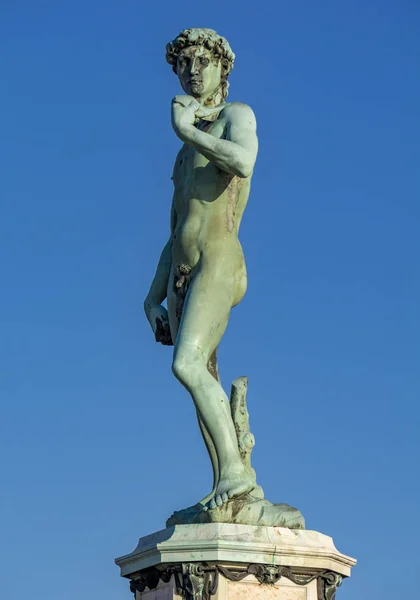 Переглянути Статую Давида Мікеланджело Пьяцца Мікеланджело Флоренції Італія — стокове фото