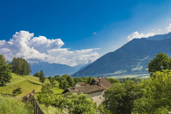 Hermosa Naturaleza Heididorf Maienfeld Suiza —  Fotos de Stock