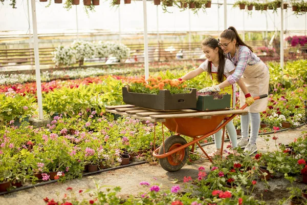 つの遊び心のある花屋楽しんで仕事と温室でカートに乗って — ストック写真