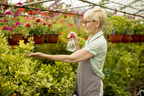 Porträt Einer Seniorin Die Grünen Arbeitet — Stockfoto