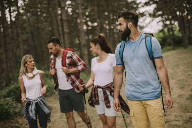 Bir grup genç insan bahar günü dağda hiking