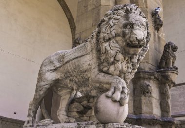 Detay Medici Floransa, İtalya'dan aslan