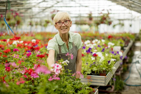 Porträt Einer Seniorin Die Grünen Arbeitet — Stockfoto