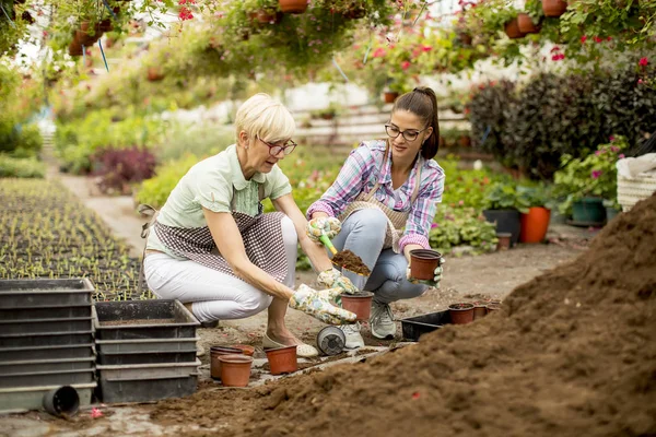 Twee Vrouwen Plant Bloemen Potten Greengarden — Stockfoto