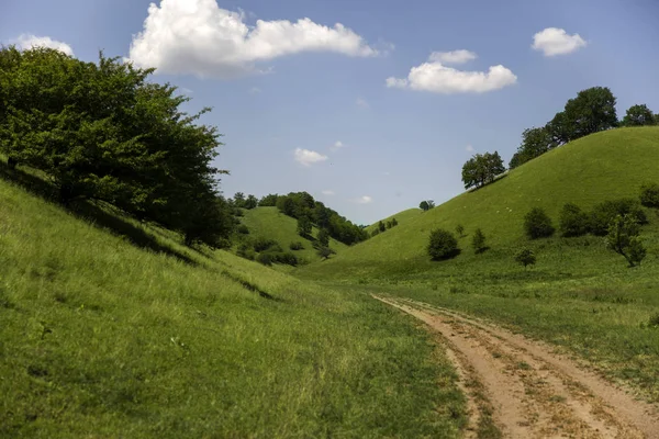 Zagajica Hills Serbia Beautiful Landscape One Summer Day — Stock Photo, Image