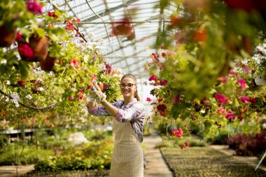 Sera içinde bahar çiçekleri ile çalışan genç ve güzel kadın