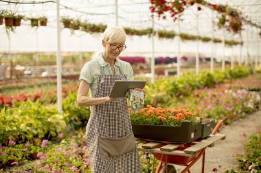 Çiçek bahçesinde tablet kullanarak kadın kıdemli portresi