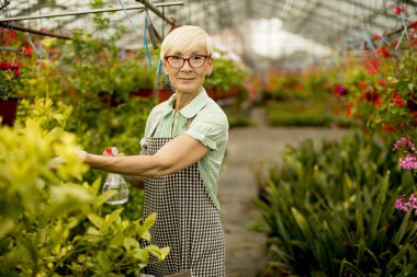 Greengarden içinde çalışan üst düzey kadın portresi