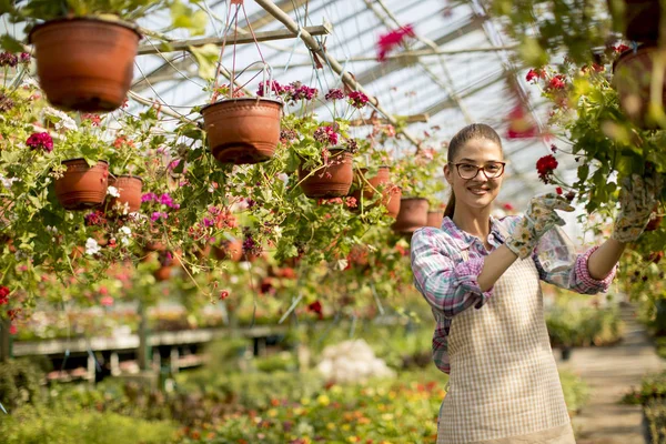 Mujer Joven Bonita Trabajando Con Flores Primavera Invernadero — Foto de Stock