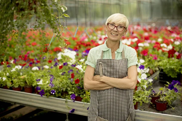 Ritratto Donna Anziana Che Lavora Nel Giardino Fiorito — Foto Stock