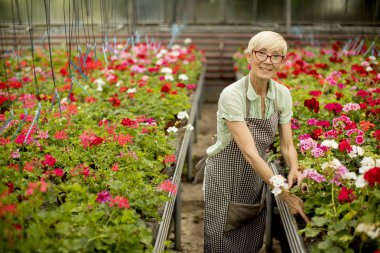 Greengarden içinde çalışan üst düzey kadın portresi