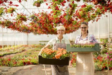 Birlikte güneşli gün çiçek bahçesinde çalışan üst düzey ve genç kadın portresi