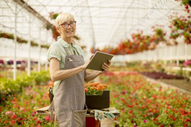 Çiçek bahçesinde tablet kullanarak kadın kıdemli portresi