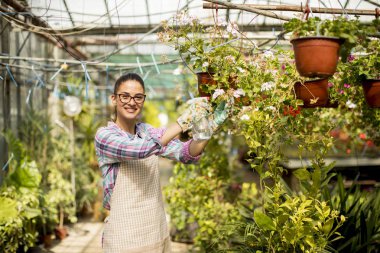 Sera içinde bahar çiçekleri ile çalışan genç ve güzel kadın
