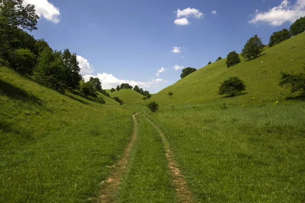 Zagajica Hills Servië Prachtige Landschap Een Zomerdag — Stockfoto