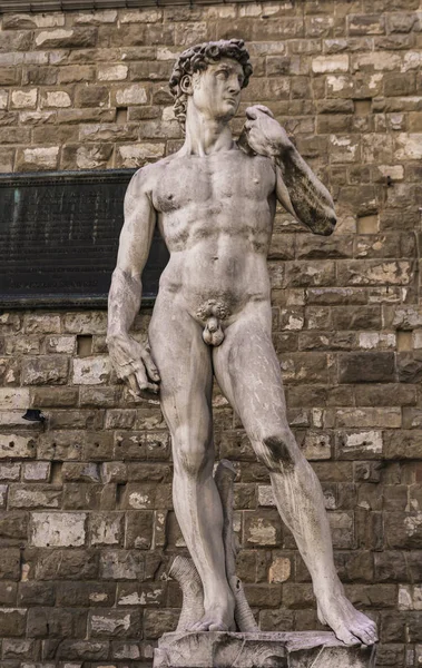 Riproduzione Della Statua Michelangelo David Davanti Palazzo Vecchio Firenze — Foto Stock