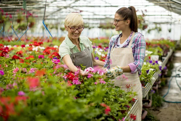 Portrait Von Älteren Und Jungen Frauen Die Bei Schönem Wetter — Stockfoto