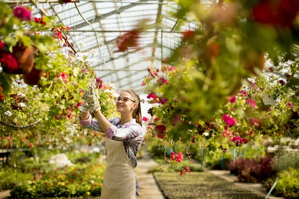 Mujer Joven Bonita Trabajando Con Flores Primavera Invernadero — Foto de Stock