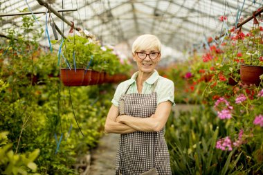 Greengarden bahar çiçekleri ile çalışan üst düzey kadın, görüntüleme