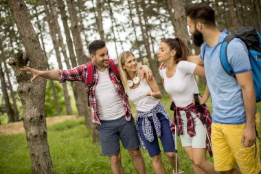 Bir grup genç insan bahar günü dağda hiking
