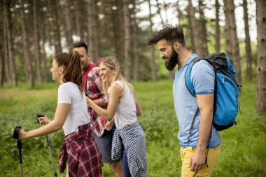 Bir grup genç insan bahar günü dağda hiking