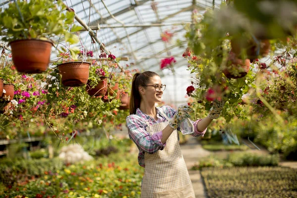 Sera içinde bahar çiçekleri ile çalışan genç ve güzel kadın