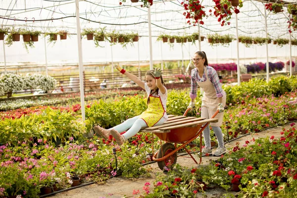 Two playful florist enjoying work while one of them riding in the cart in the greenhouse