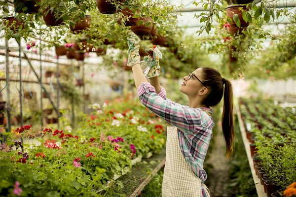 Mujer Joven Bonita Trabajando Con Flores Primavera Invernadero — Foto de Stock