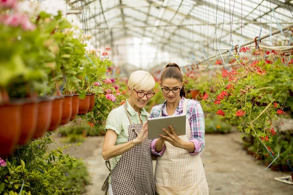 Dos Mujeres Floristas Modernas Senior Jóvenes Que Seleccionan Flores Mientras — Foto de Stock