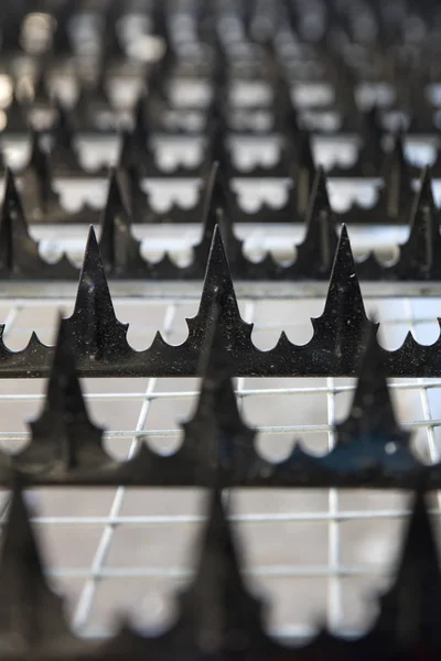 Closeup Detail Metal Spikes Rows — Stock Photo, Image