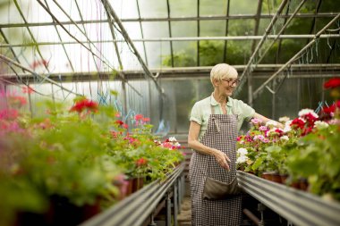 Çiçek bahçesinde çalışan üst düzey kadın portresi