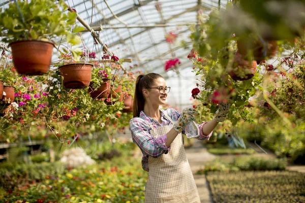 Sera içinde bahar çiçekleri ile çalışan genç ve güzel kadın