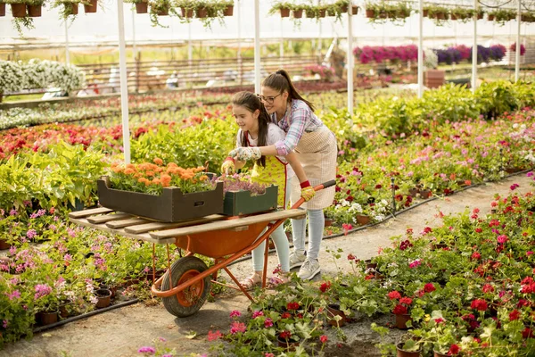 Two playful florist enjoying work and ride the cart in the greenhouse