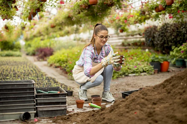 Vista Para Mulher Jovem Que Trabalha Jardim Flores — Fotografia de Stock