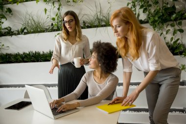 Çalışma veri ve modern ofisindeki sunmak neşeli profesyonel çok ırklı kadınlar