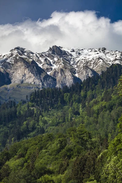 Weergave Zwitserse Alpen Raetikon Buurt Van Maienfeld Zwitserland — Stockfoto