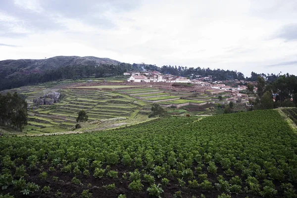 Cusco Peru Için Tarım Teraslarının Görüntüleme — Stok fotoğraf