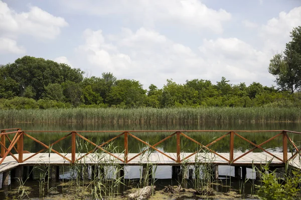 Houten Wandelpad Vijver Bekijken Een Zonnige Dag — Stockfoto