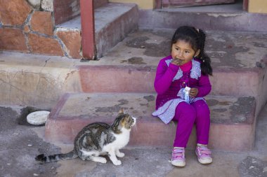 Copacabana, Bolivya - 6 Ocak 2018: Copacabana, Bolivya'nın sokakta kedi Unindentified kızla. Copacabana Lake Titicaca ana Bolivya şehirde olduğunu