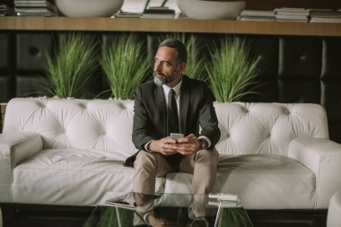 Cep telefonu kullaranarak ve ofiste kanepede oturan üst düzey işadamı portresi