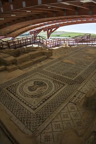 Mosaïques Sol Kourion Reste Chypre — Photo