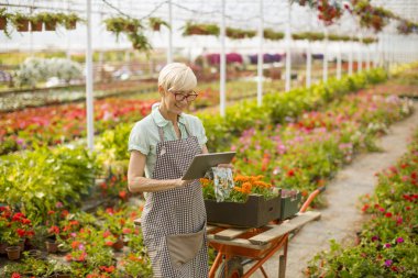 Tablet çiçek garde içinde kullanma kadın kıdemli portresi