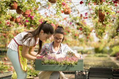Sera içinde iş zevk iki genç çiçekçi