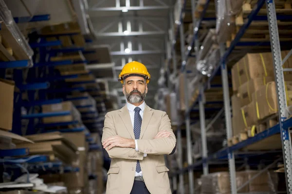 Retrato Empresário Bonito Sênior Terno Com Capacete Armazém — Fotografia de Stock