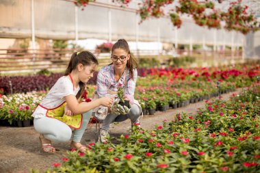 Sera içinde iş zevk iki genç çiçekçi