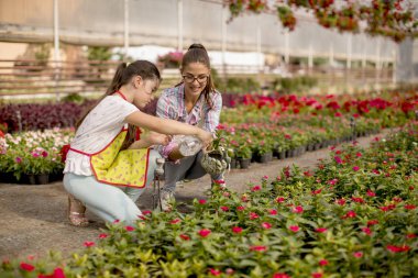 Sera içinde iş zevk iki genç çiçekçi