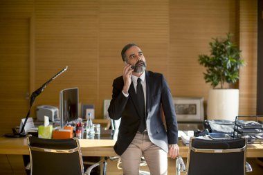 Cep telefonunuzun ve modern ofisinde kıdemli sakallı işadamı portresi