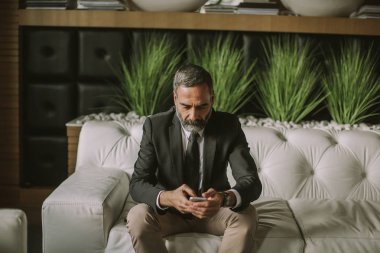 Cep telefonu kullaranarak ve ofiste kanepede oturan üst düzey işadamı portresi